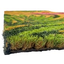 Limpiapies flor 40*60