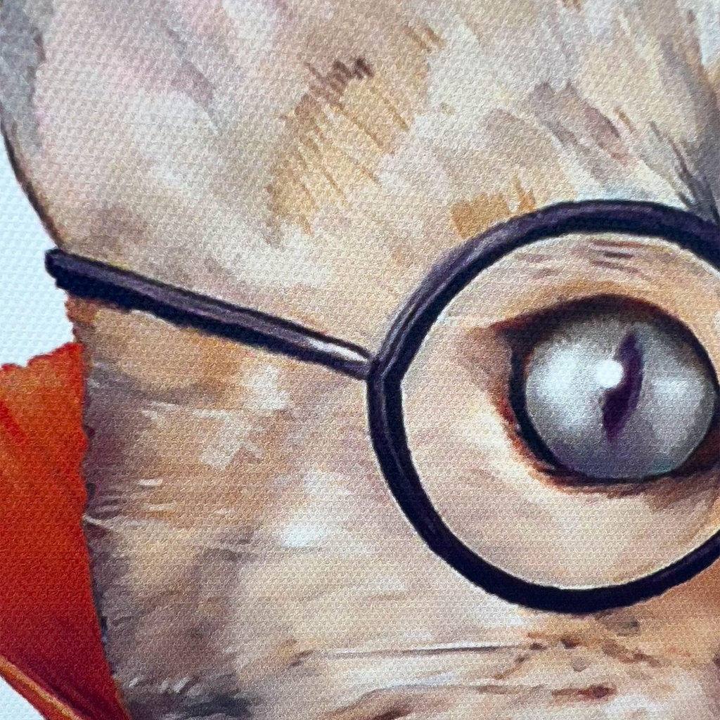 Canvas gato pipa 30x40cm