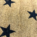 Limpiapies stars 45x120cm