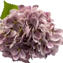 Hortensia artificial morado 67cm