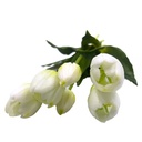 Tulipán artificial 4cm