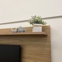 Panel TV Trama
