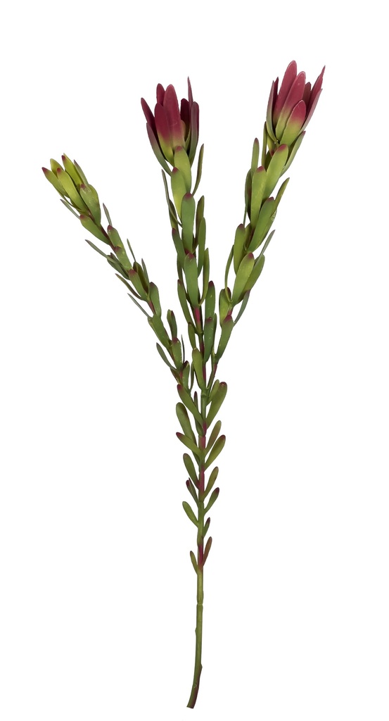 Rama Protea artificial roja