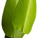Hoja de plátano artificial 120cm