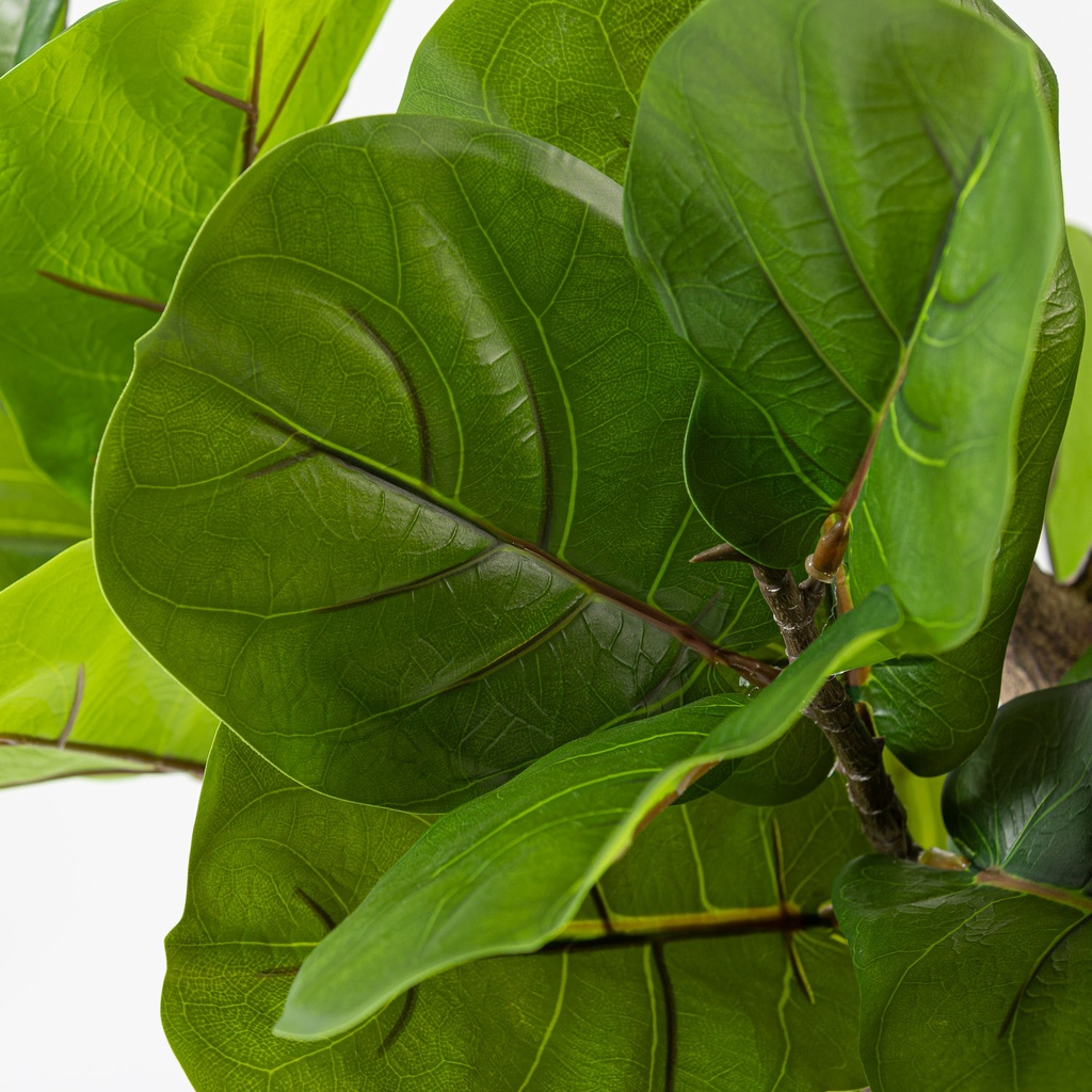 Ficus Lyrata artificial 135cm