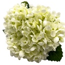 Hortensia artificial blanco 33cm