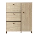 Zapatero Madison 1 Puerta 3 cajones