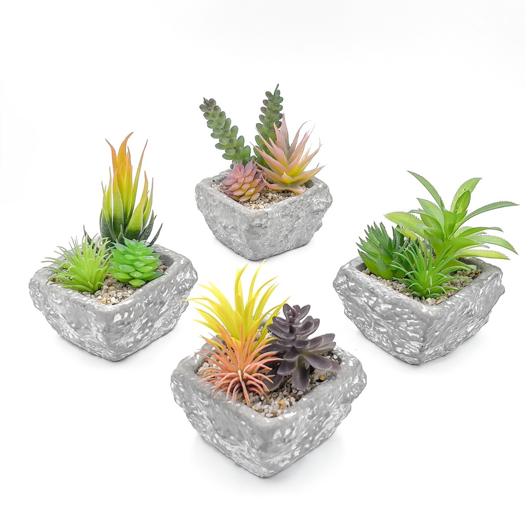 Suculenta mix base piedra 13,2cm