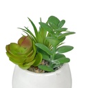 Suculenta mix base blanca 12cm