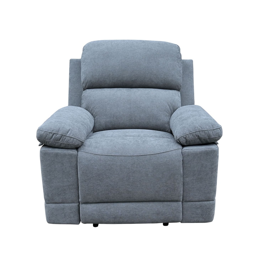 Berger Mark gris