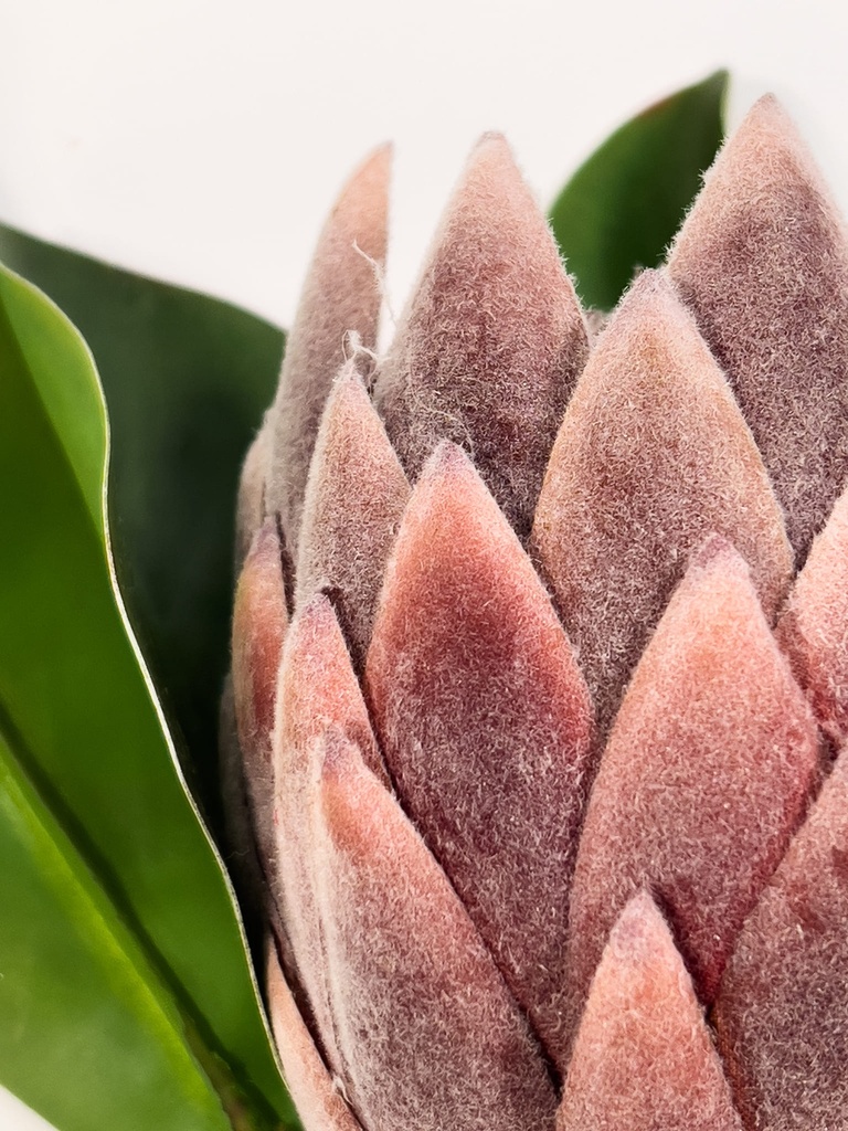 Flor protea artificial M morada