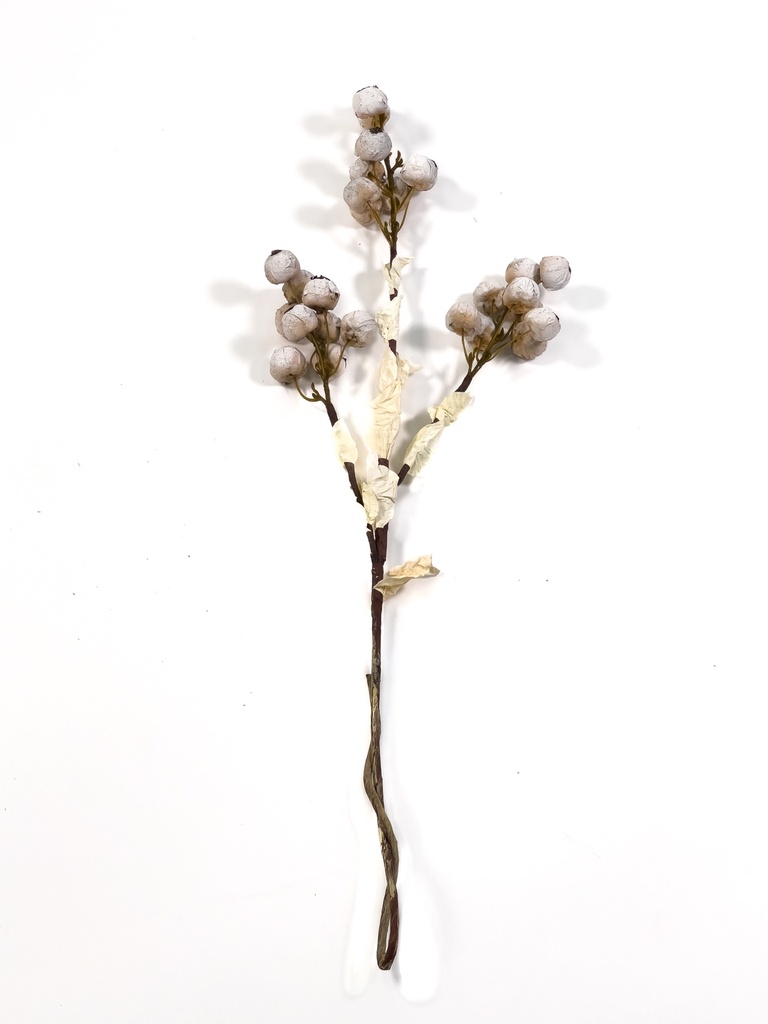 Rama flor de algodón