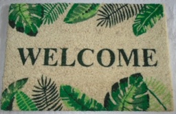 [230008922] Limpiapies welcome3 40x60cm
