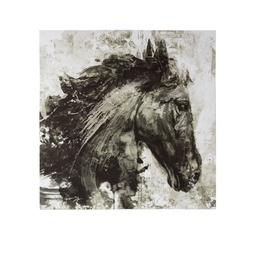 [230027066] Canvas caballo negro 50x50cm