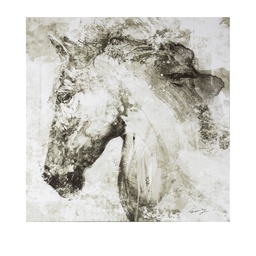 [230027067] Canvas caballo blanco 50x50cm