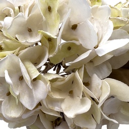 [230030183] Hortensia artificial blanco 33cm