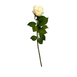 [230030207] Rosa artificial 70cm