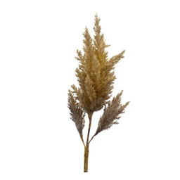 [230030219] Pasto artificial 82cm