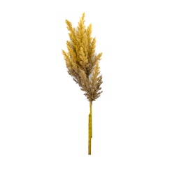 [230030220] Pasto artificial blanco 82cm