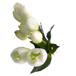 [230030227] Tulipán artificial 4cm
