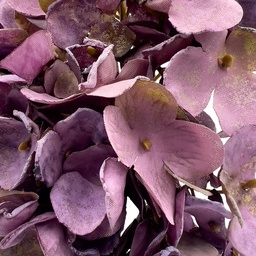 [230030236] Hortensia artificial burdeo 34cm