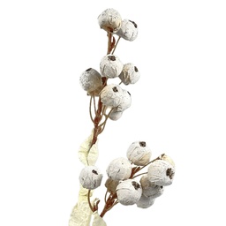 [230035560] Rama flor de algodón